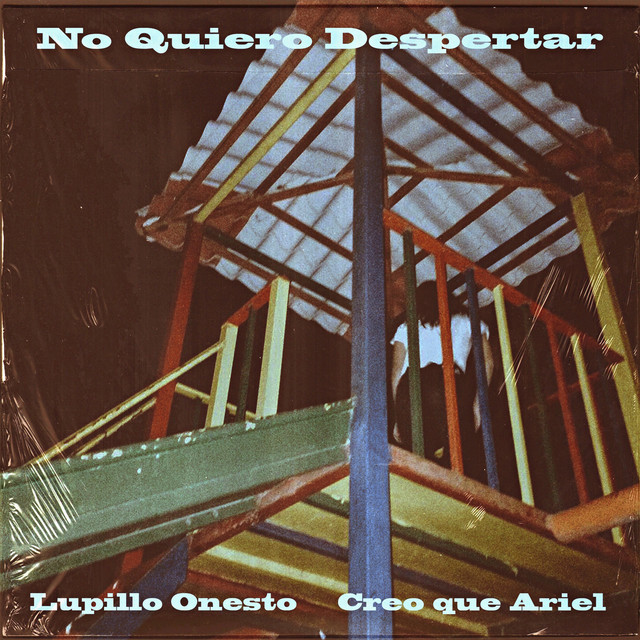 No Quiero Despertar