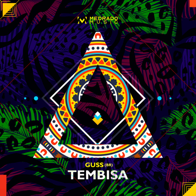 Tembisa cover art