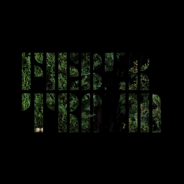 Labyrinth cover