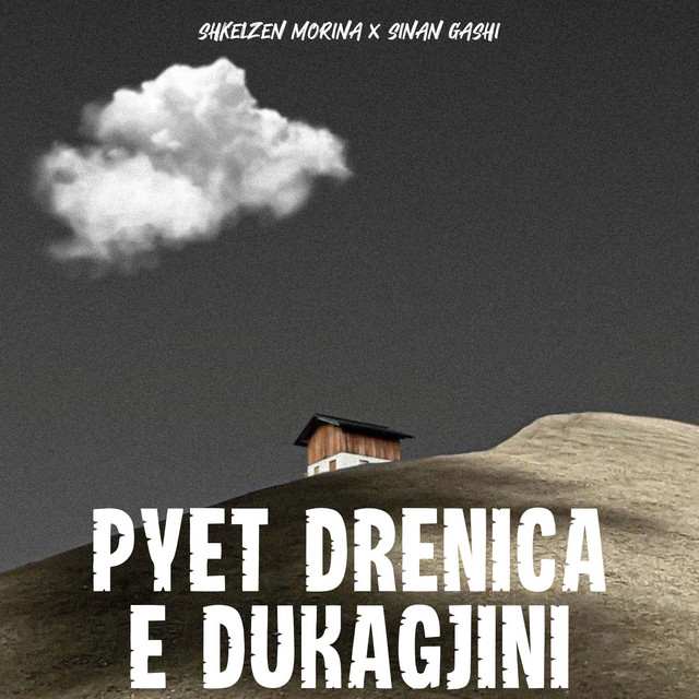 Pyet Drenica E Dukagjini