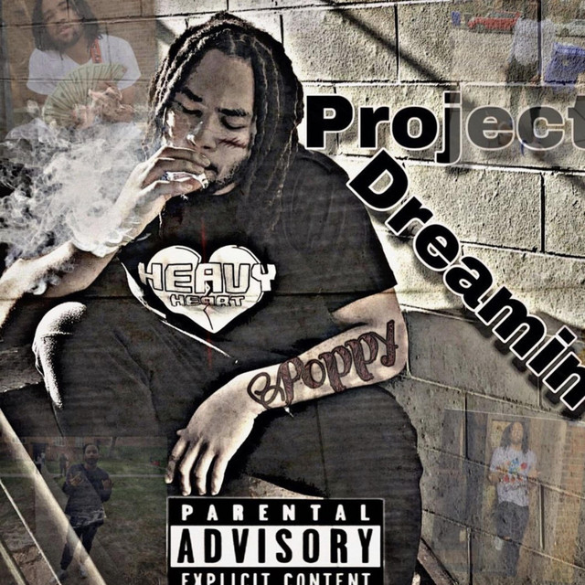 ProjectDreamin cover art