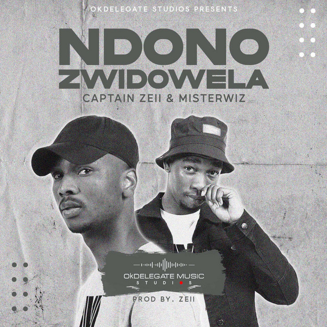 Ndono Zwidowela - Single by Captain Zeii | Spotify
