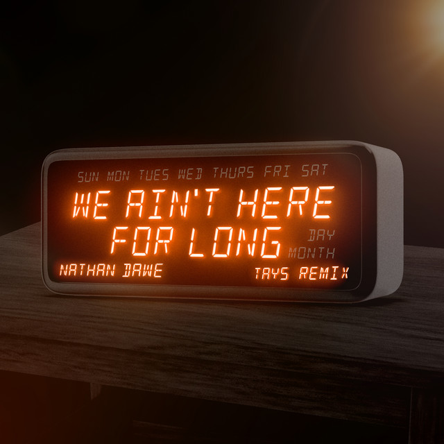 We Ain't Here For Long - Tays Remix