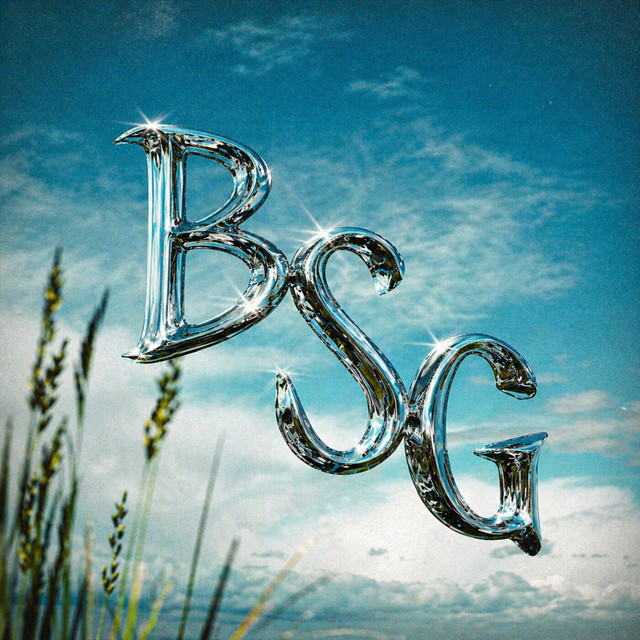BSG (Brown Skin Girl) album image