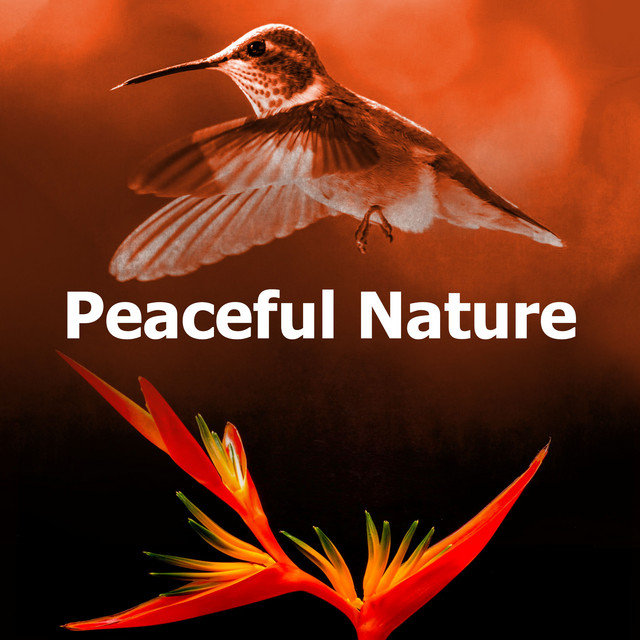 Peaceful Nature - Album by Hector's Nature Sounds | Spotify