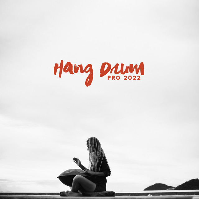 Hang Drum Pro 2022 cover art
