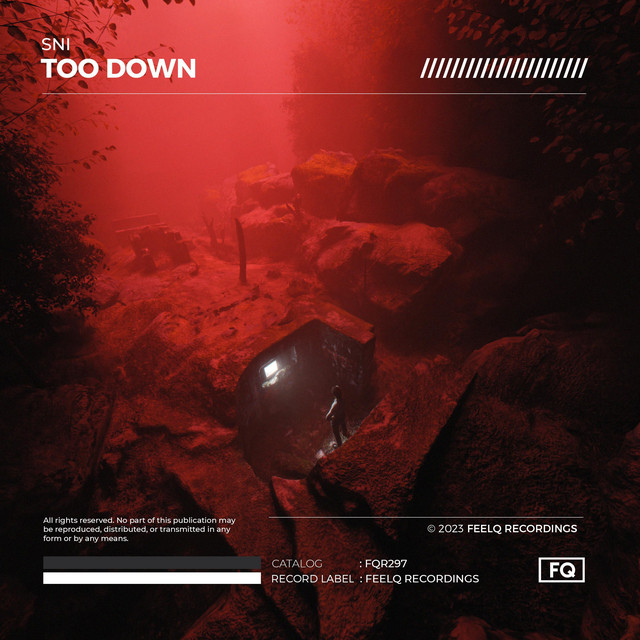 Too Down cover art