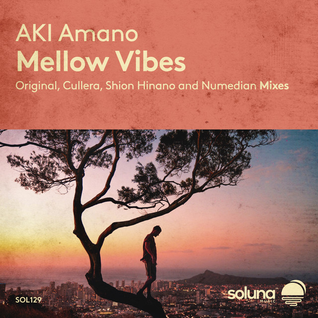 Mellow Vibes - Shion Hinano Remix cover art