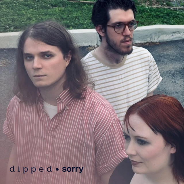 Sorry cover art