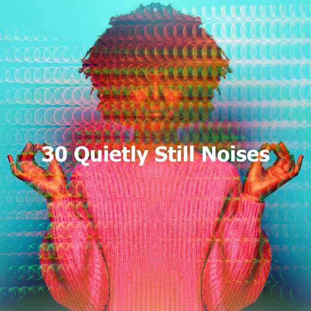 30 Quietly Still Noises - Album by Meditate to Relaxation Music | Spotify