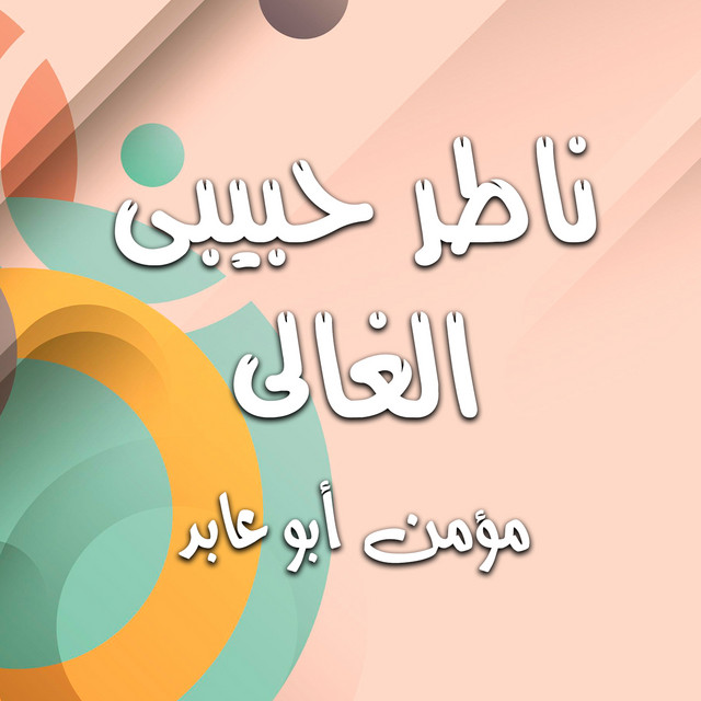 مؤمن ابو عابد
