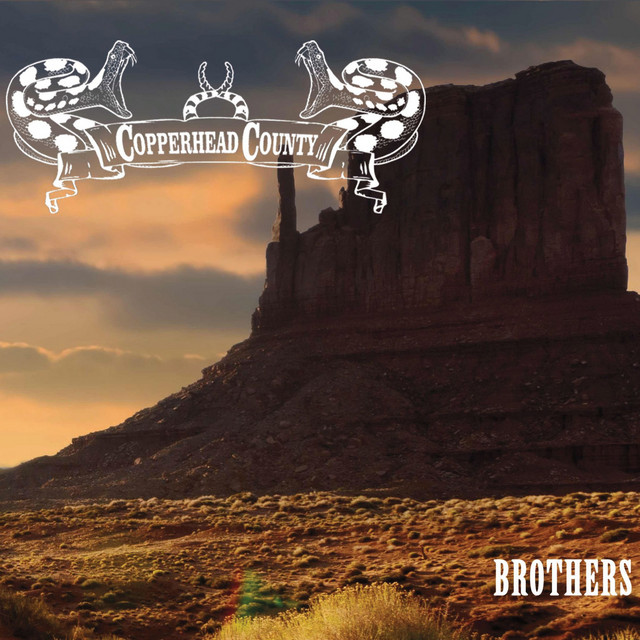 Brothers cover art