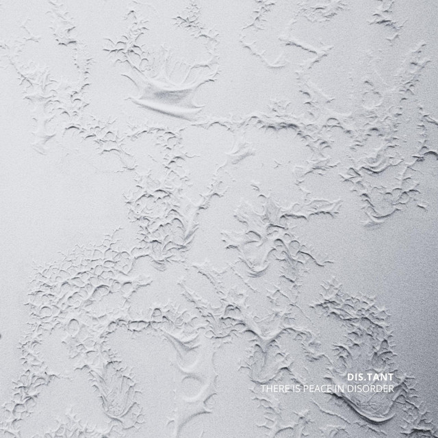There Is Peace In Disorder cover art