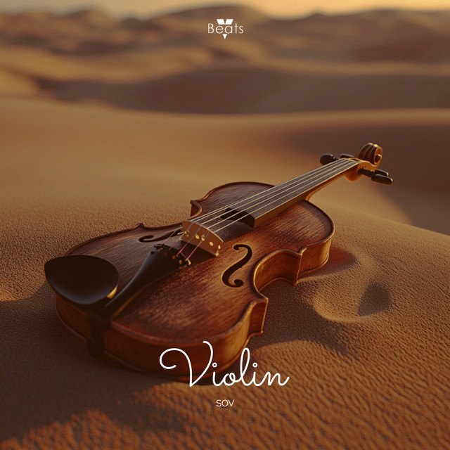 Violin cover art