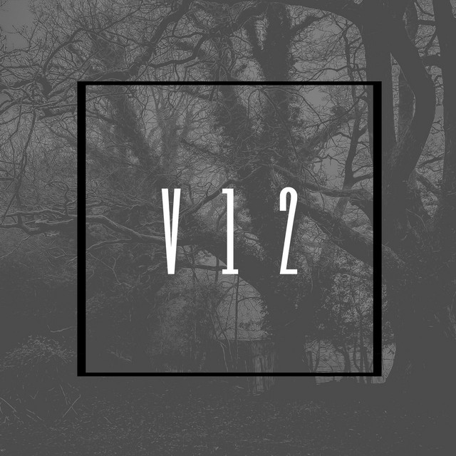 V12 cover art