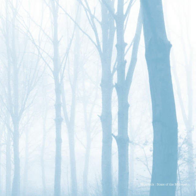 Scars of the Midwest cover art