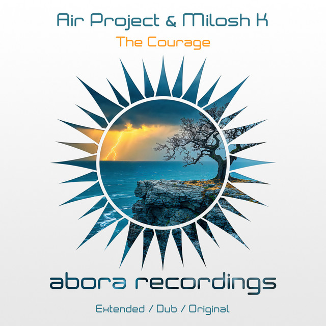 Cover art for Air Project — The Courage