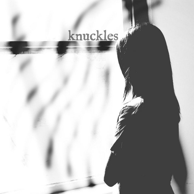 Knuckles cover
