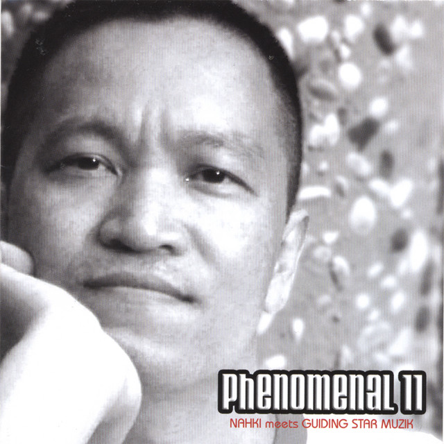 Phenomenal 11 cover art