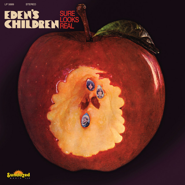 Sure Looks Real cover art