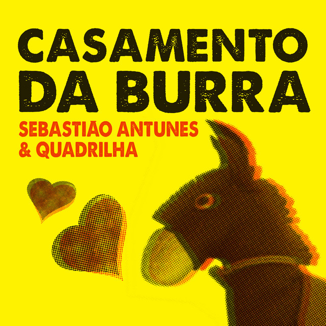 Casamento da Burra cover