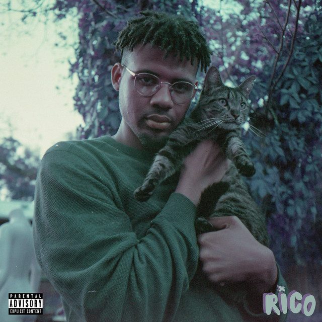 RICO cover art