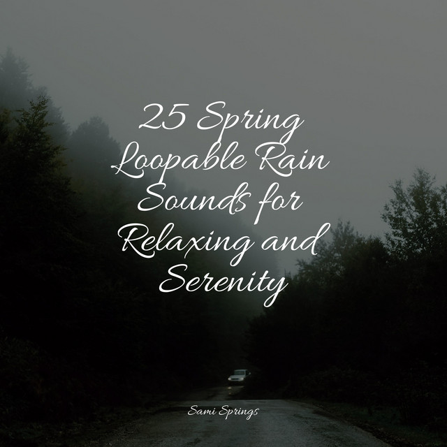 25 Spring Loopable Rain Sounds for Relaxing and Serenity - Album by ...