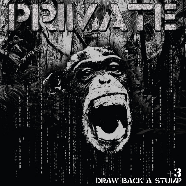 Draw Back a Stump cover art