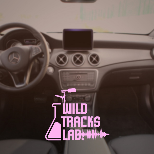 Driving Soundscapes cover art
