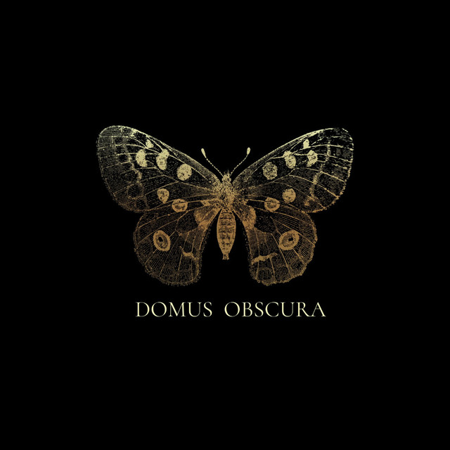 Domus Obscura (Live Version) cover