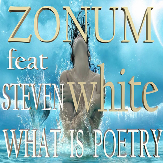 What Is Poetry - Alonso Remix cover art