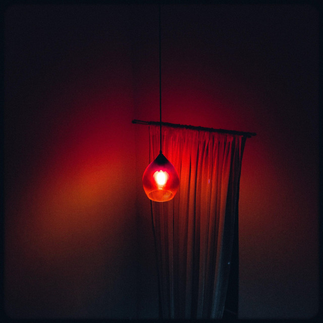 Soy cover art
