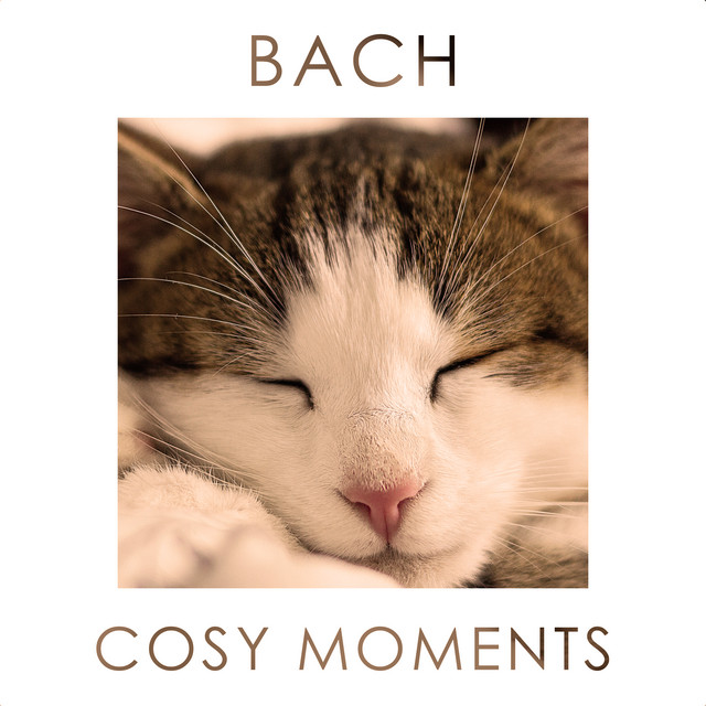 Jesus, meine Zuversicht, BWV 365