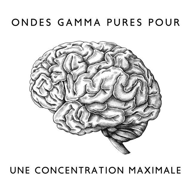 Ondes gamma pures pour une concentration maximale cover art