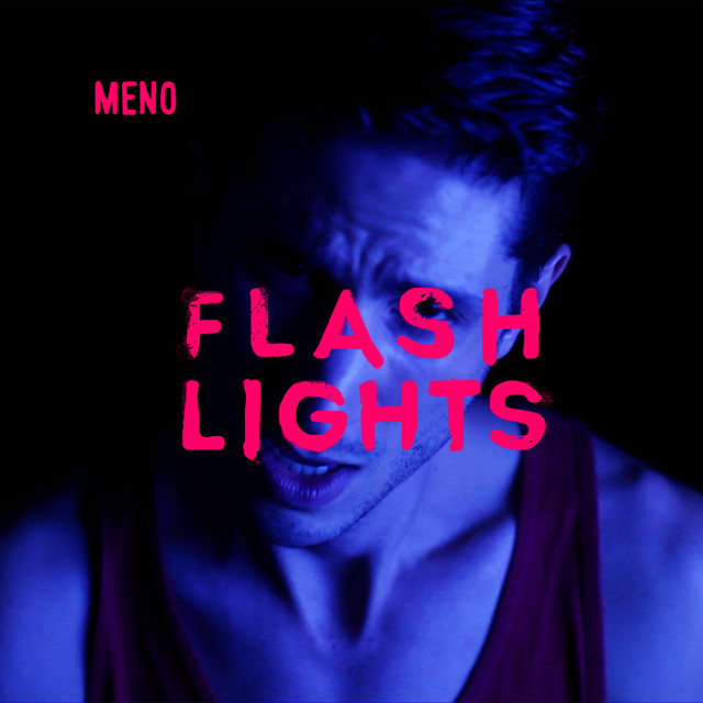 Flashlights cover art