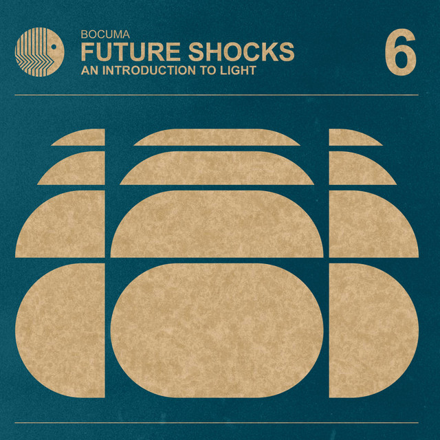 Future Shocks 06 An Introduction To Light cover art