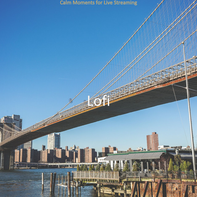 Calm Moments for Live Streaming cover art