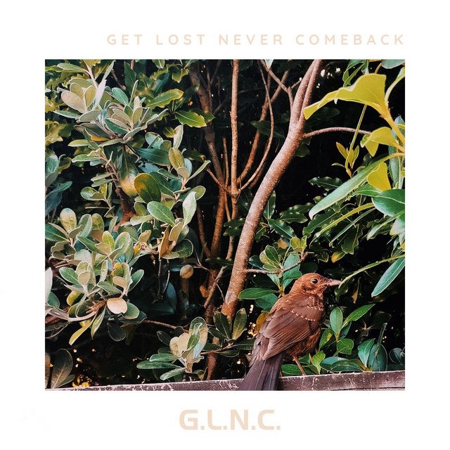 Get Lost Never Comeback cover art