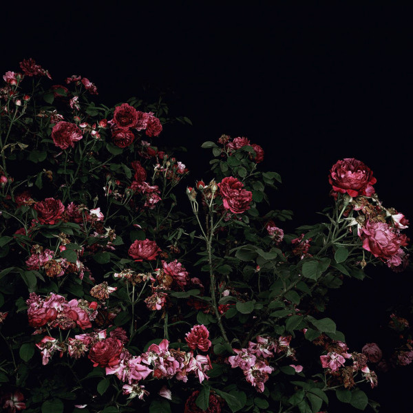 you've never been to heaven (sped up) / sweetest pie