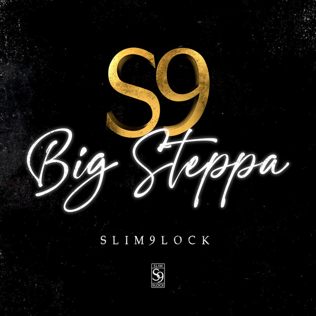 Big Steppa cover art