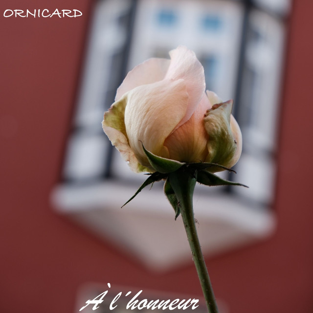 À l'honneur cover art