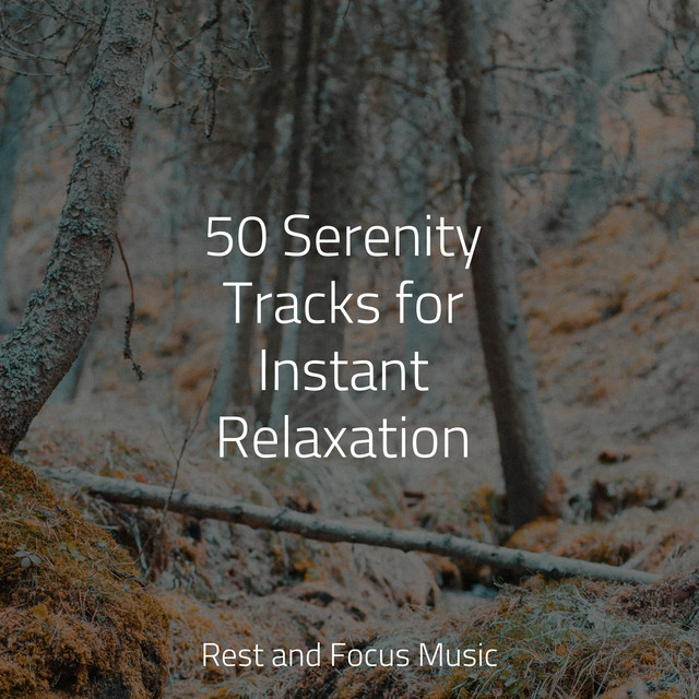 50 Serenity Tracks for Instant Relaxation - Album by Baby Sleep | Spotify