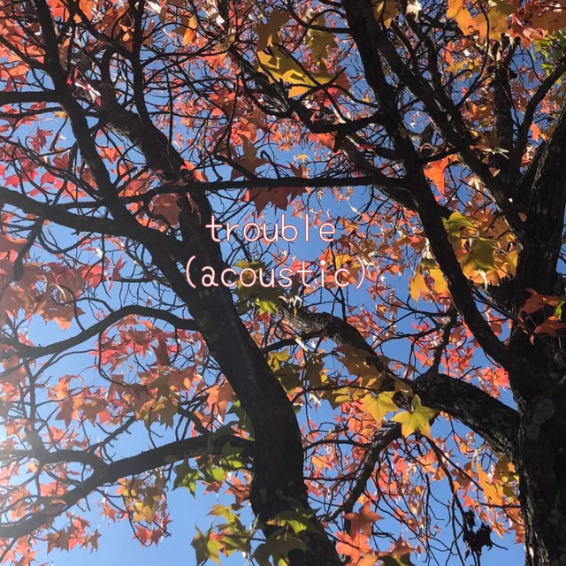 Trouble (Acoustic) cover art