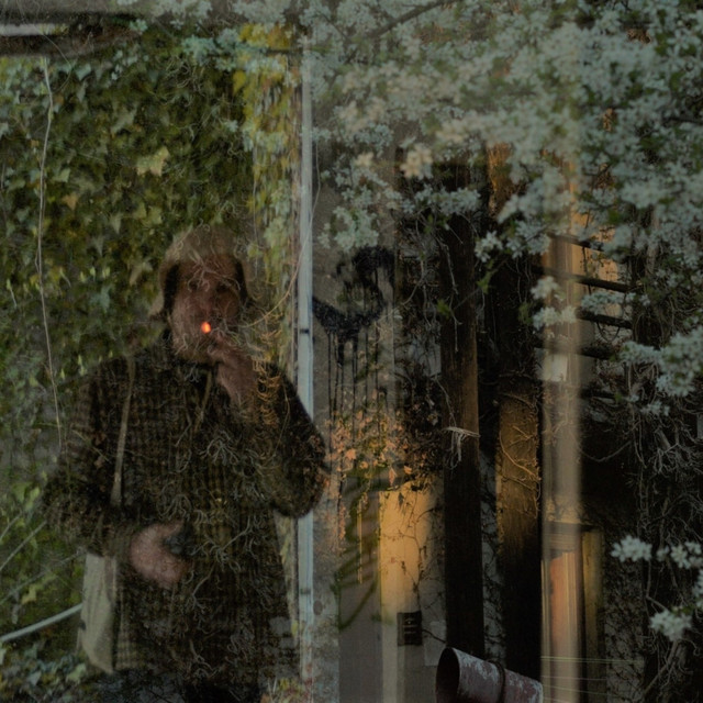Anemoia cover art