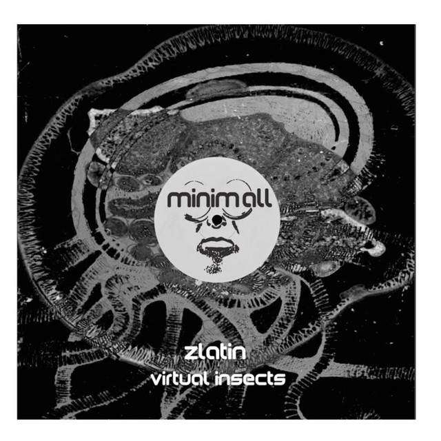 Virtual Insects cover art