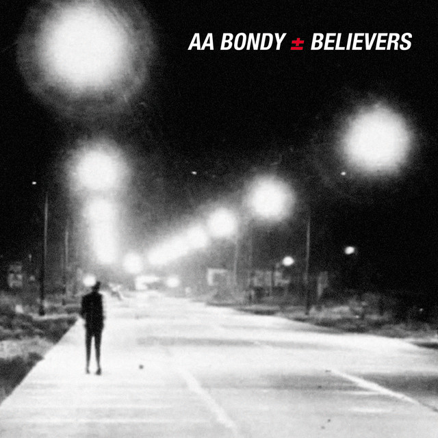 Believers cover art