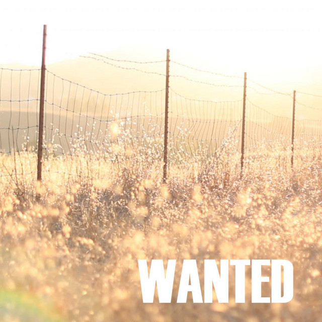 Wanted cover art