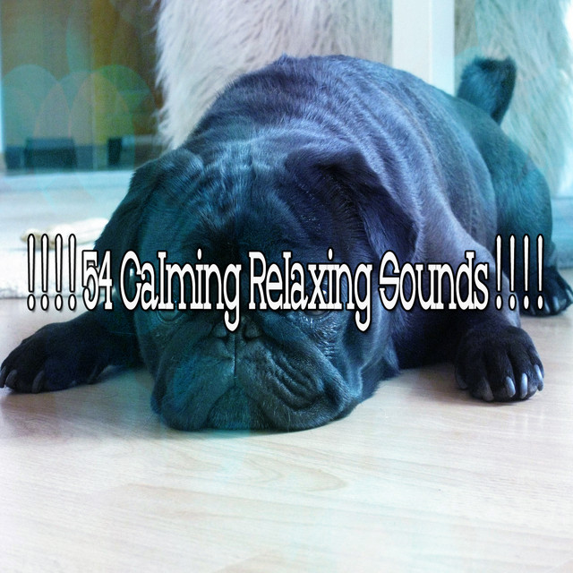 54 Calming Relaxing Sounds ! ! ! ! - Album by Sound Sleeping | Spotify
