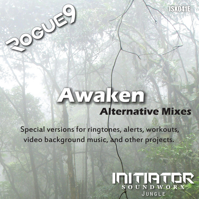 Rogue9 - Awaken - Commercial 1 Mix