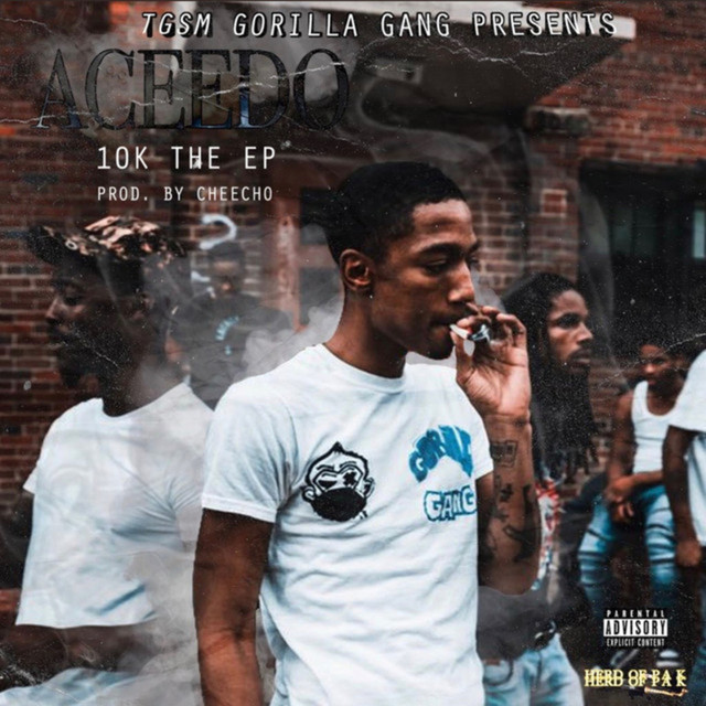 Young Niggas cover art